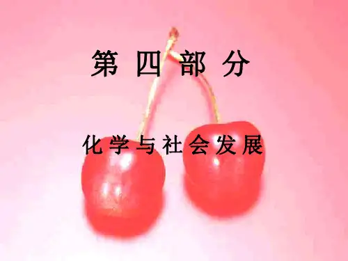 初三化学上学期化学与社会发展复习课件-上海教育版