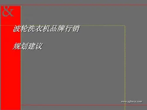 波轮洗衣机品牌行销规划建议(PPT40张)