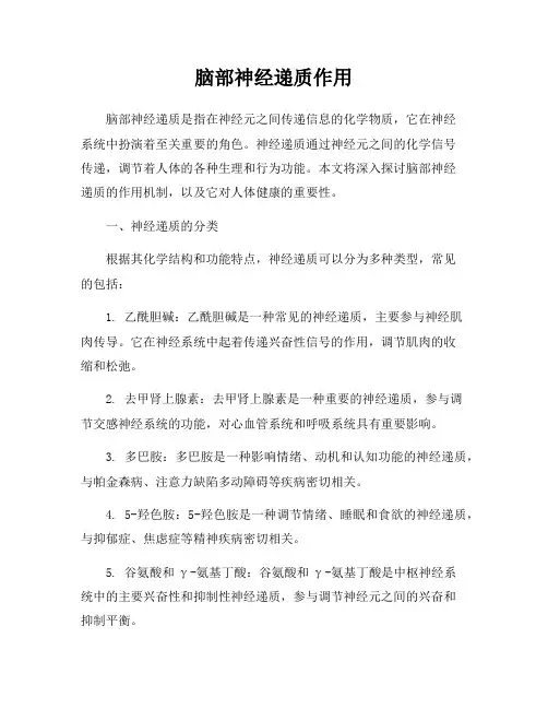 脑部神经递质作用