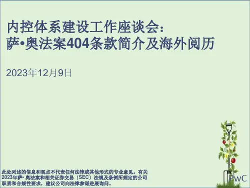 04-萨奥法案404条款简介及海外经验全解
