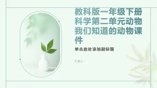 教科版一年级下册科学第二单元动物我们知道的动物课件