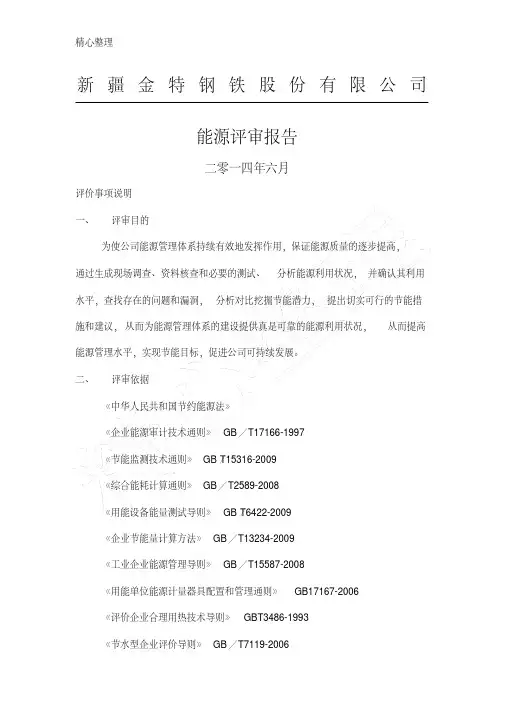 能源评审分析报告