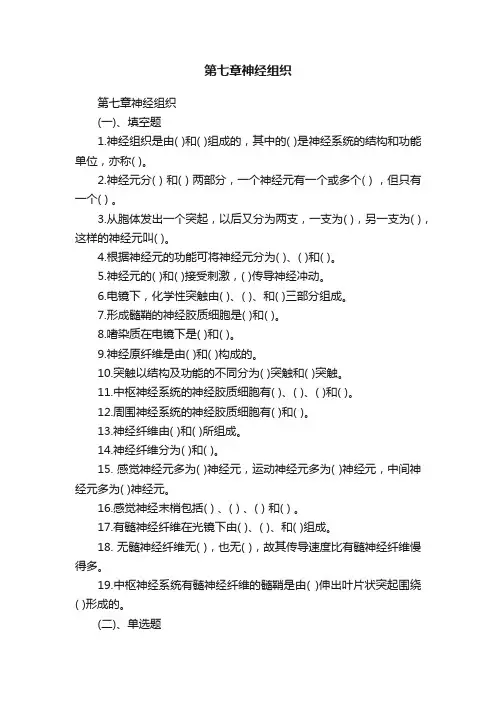 第七章神经组织