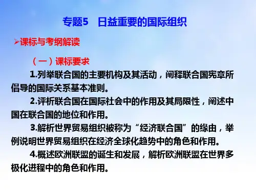 日益重要的国际组织ppt课件演示文稿