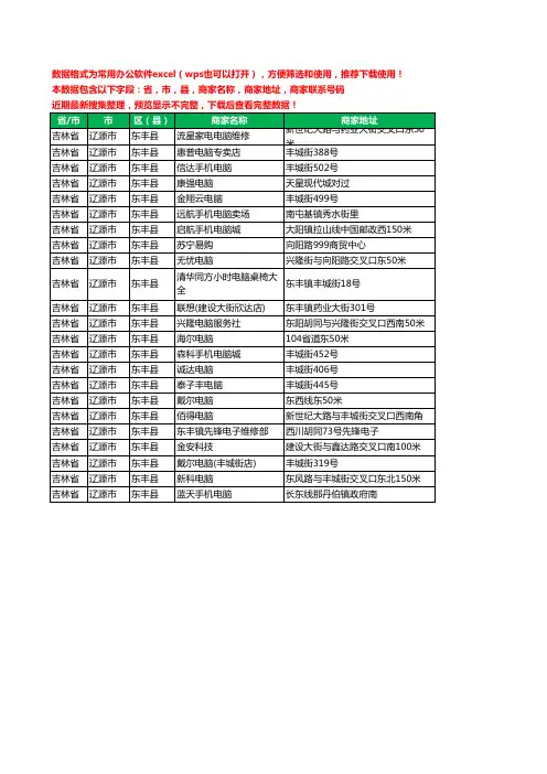 2020新版吉林省辽源市东丰县电脑工商企业公司商家名录名单联系电话号码地址大全23家