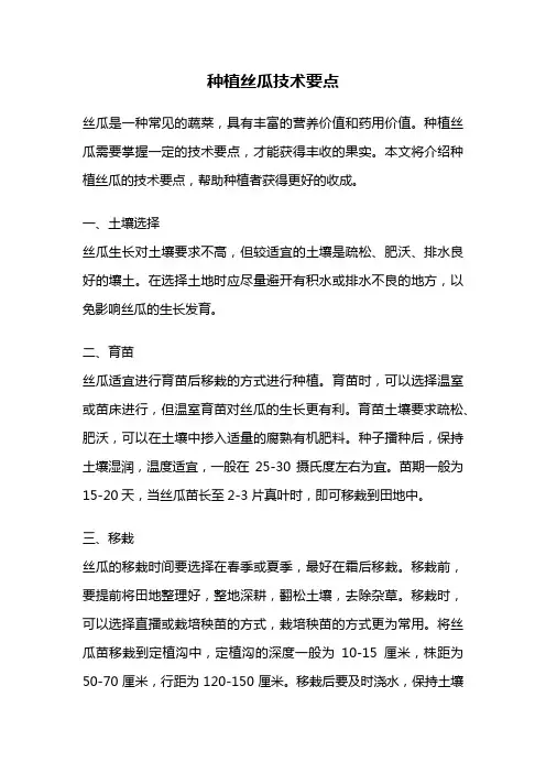 种植丝瓜技术要点