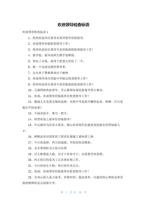 欢迎领导检查标语