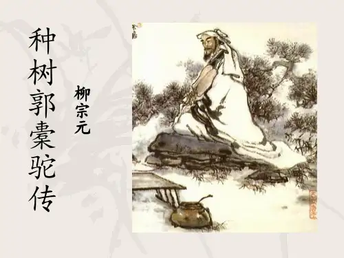 种树郭橐驼传公开课优秀PPT课件