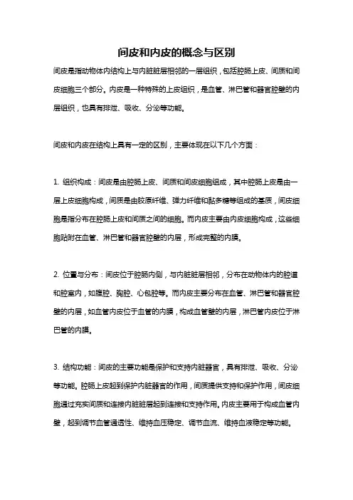 间皮和内皮的概念与区别