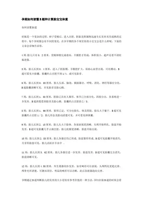 孕期如何读懂B超和计算胎宝宝体重