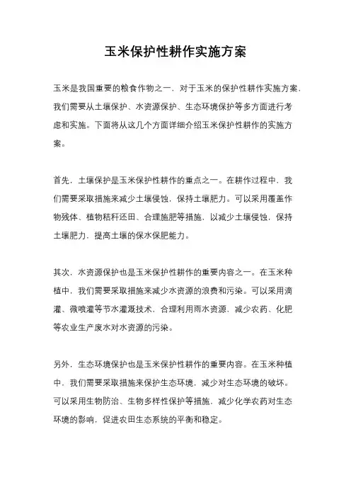 玉米保护性耕作实施方案