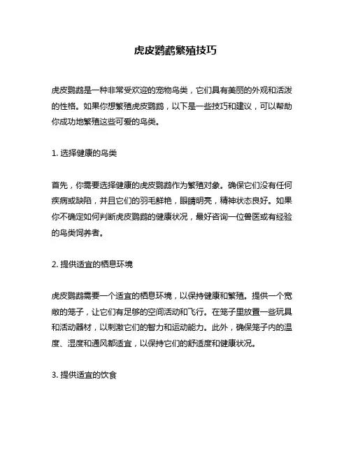 虎皮鹦鹉繁殖技巧