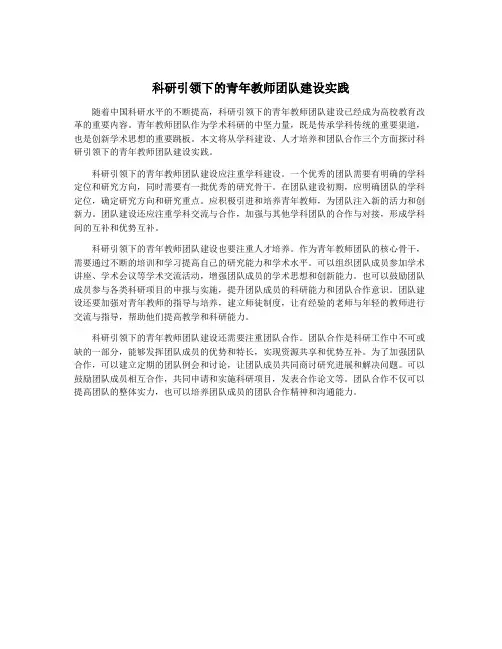 科研引领下的青年教师团队建设实践