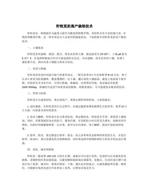 籽粒苋的高产栽培技术