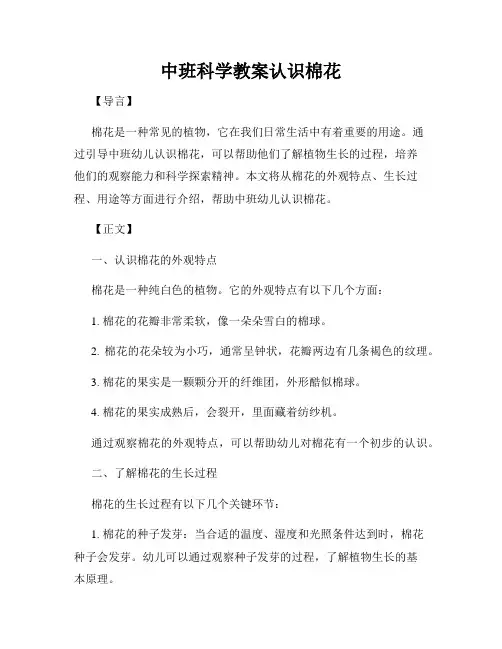 中班科学教案认识棉花