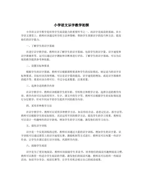 小学语文识字教学初探