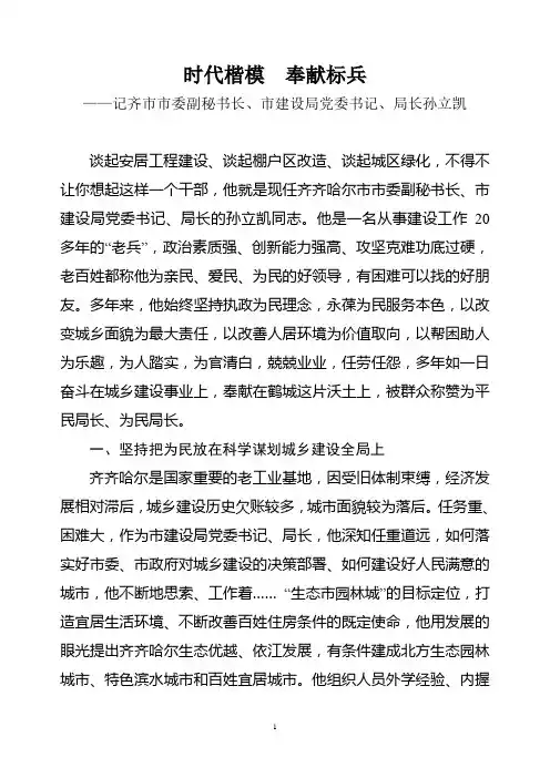 孙立凯事迹材料