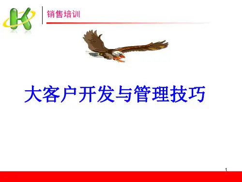 大客户开发与管理技巧
