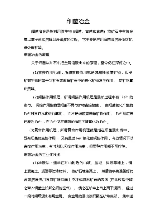 细菌冶金知识总结