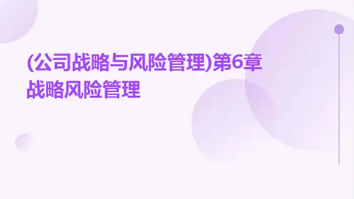 (公司战略与风险管理)第6章战略风险管理