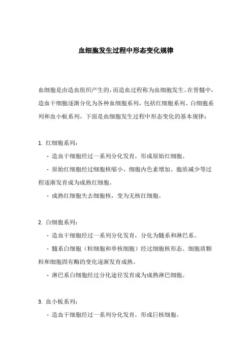 血细胞发生过程中形态变化规律