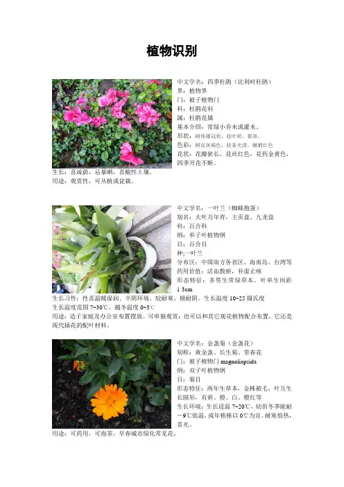 植物识别