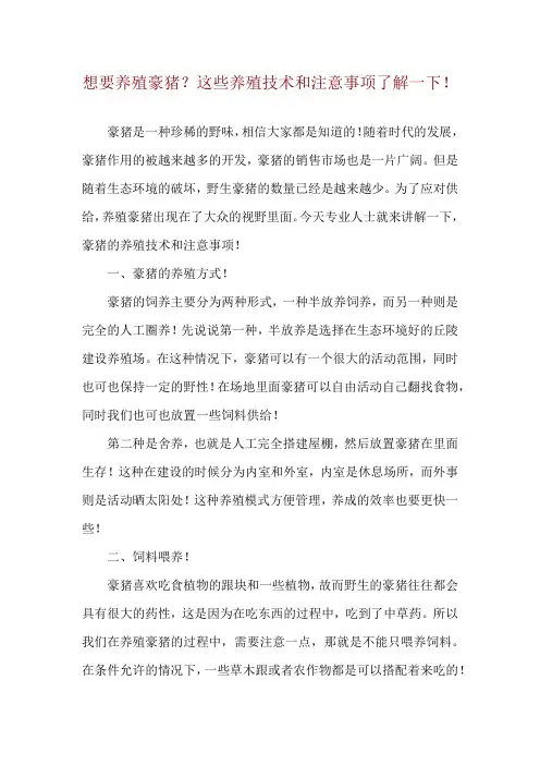 想要养殖豪猪？这些养殖技术和注意事项了解一下!
