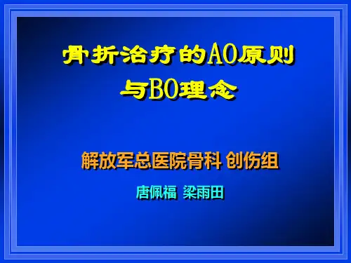 骨折治疗的AO原则与BO理念