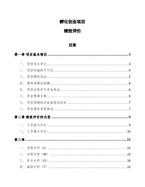 孵化创业项目绩效评价（模板）