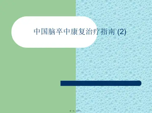中国脑卒中康复治疗指南 (2)