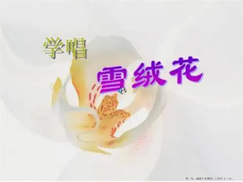 《雪绒花》音乐课件