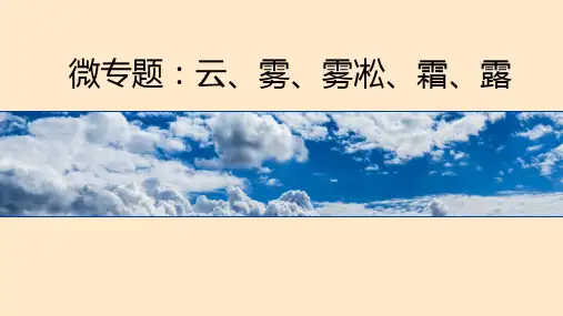 【高中地理】 常见的天气现象：云、雾、雾凇、霜、露 2023年高考地理微难点突破精准课件