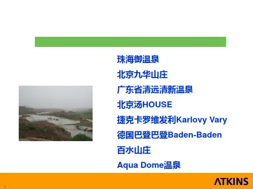 温泉spa案例PPT课件