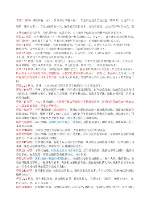 异型淋巴细胞的鉴定与区别