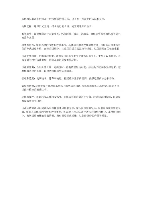 露地西瓜吊蔓种植的方法和技术