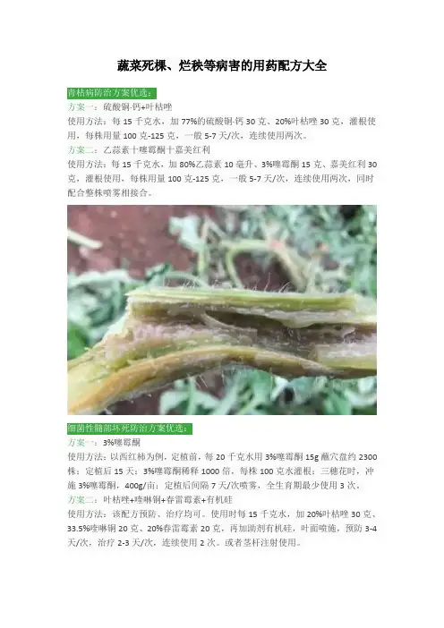 蔬菜死棵、烂秧等病害的用药配方大全