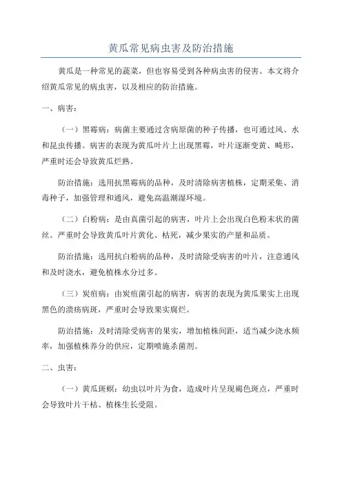 黄瓜常见病虫害及防治措施