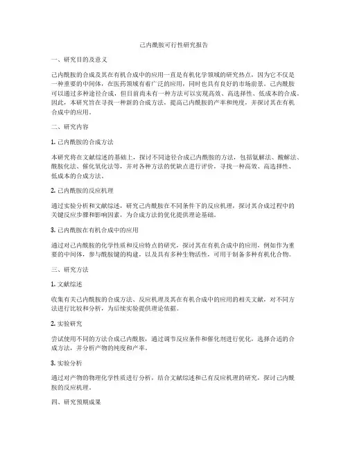 己内酰胺可行性研究报告