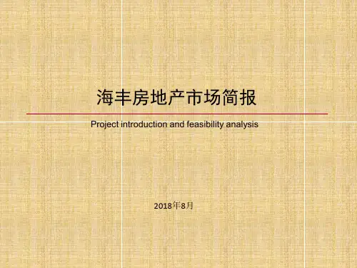 广东汕尾市海丰2018年房地产市场报告