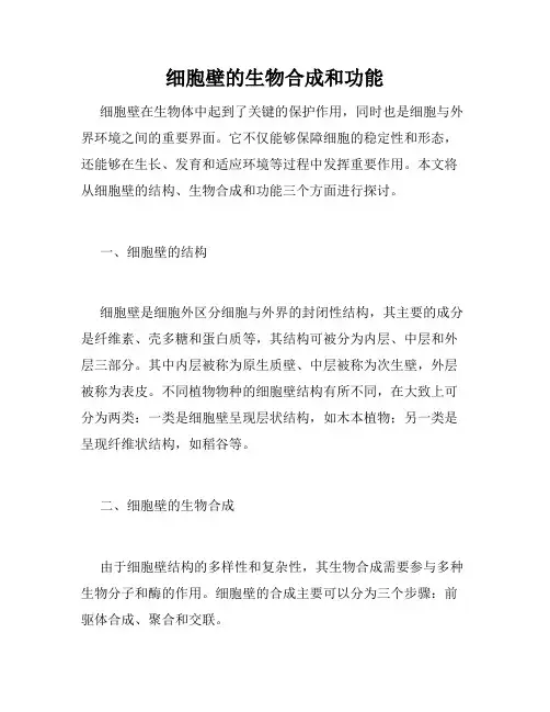 细胞壁的生物合成和功能
