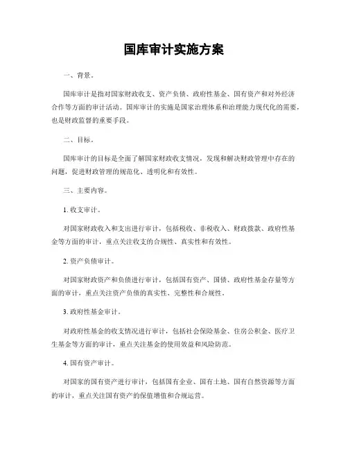 国库审计实施方案