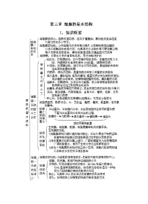 高一生物寒假作业