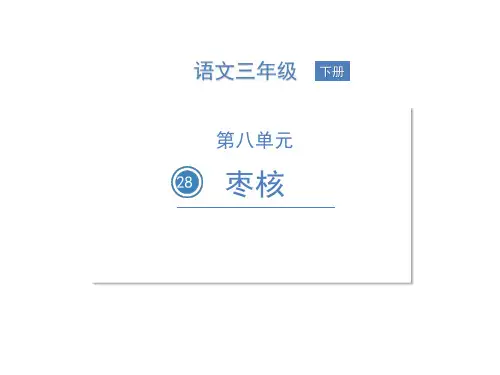 部编版三年级语文下册28枣核课件(19张ppt)