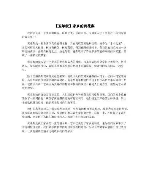 【五年级】家乡的黄花梨
