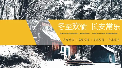 大寒主题简约商务年终总结