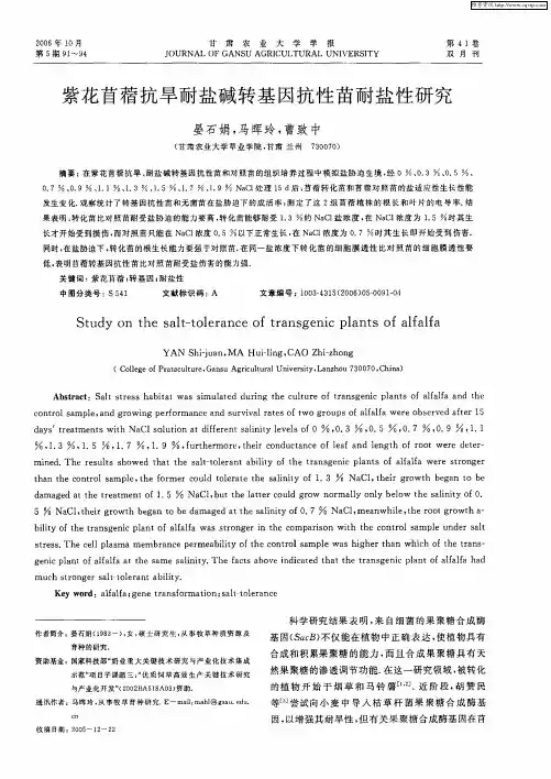 紫花苜蓿抗旱耐盐碱转基因抗性苗耐盐性研究