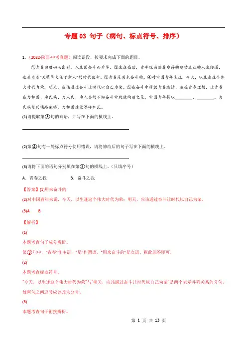 专题03 句子(病句和标点符号)-2022年中考语文真题分项汇编 (全国通用)(第1期)(解析版)