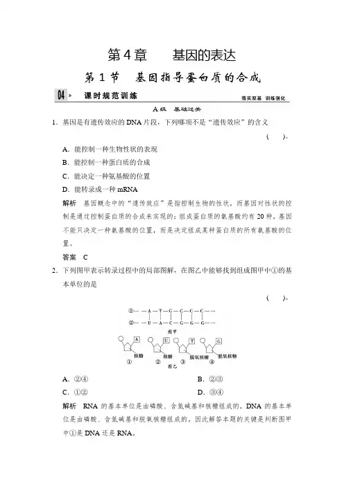 高一生物人教版必修训练：基因指导蛋白质的合成含解析
