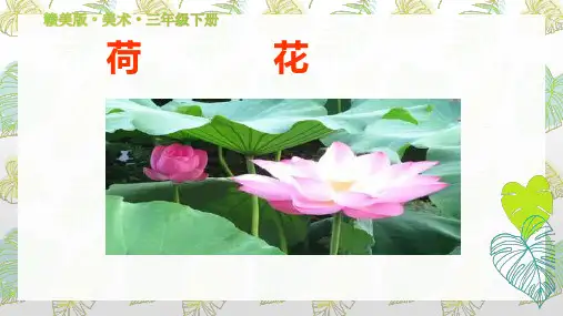 《荷花美》赣美版（江西版）小学三年级下册美术（第六册）教学课件 (21)