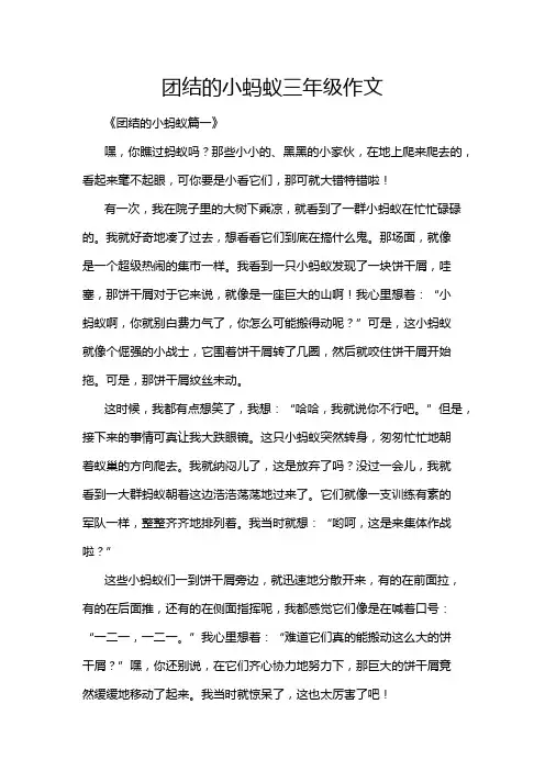 团结的小蚂蚁三年级作文